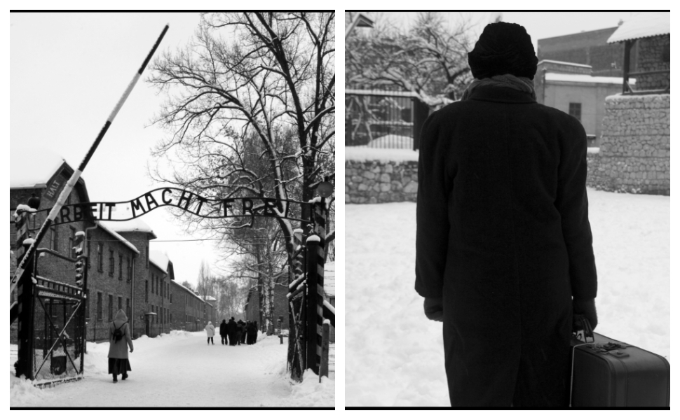 mostra su shoa cosenza