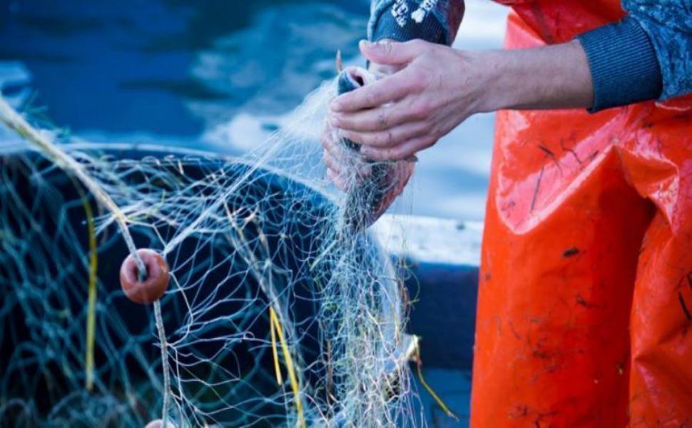 Dal 4 settembre al 3 ottobre scatta il fermo pesca obbligatorio 51 pesca