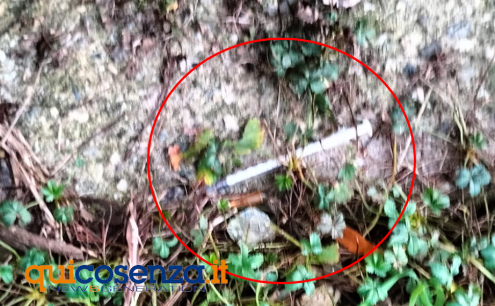 siringhe parco robinson pulizia rende 04