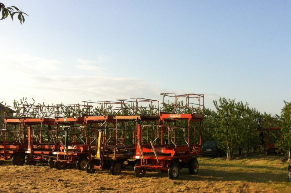 18193178 1301362496580162 7826686550581853785 o 1