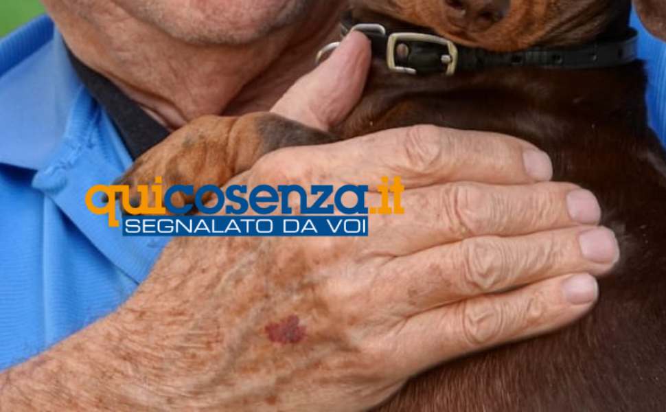 Anziano con il cane repertorio segnalato da voi