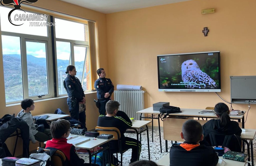 'Salvare il patrimonio boschivo': la mission dei Carabinieri nelle scuole cosentine 60 Foto 1 1