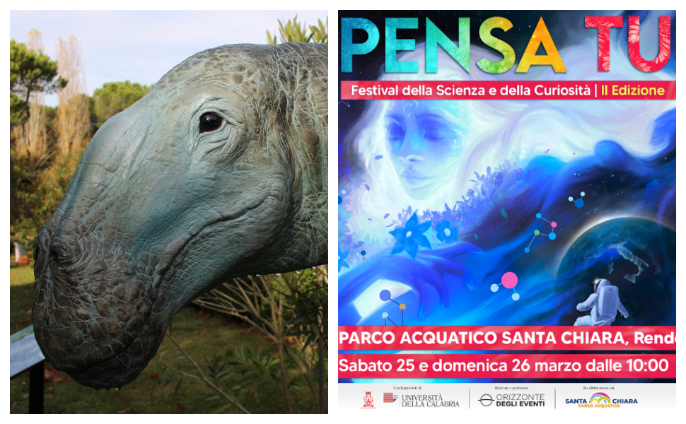 A Rende arriva il Festival della Scienza tra paleontologia, esposizioni e attività 51 Pensa tu Festival scienza Rende