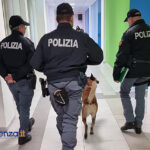 Polizia Cosenza controlli unità cinofile