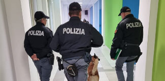 Polizia Cosenza controlli unità cinofile