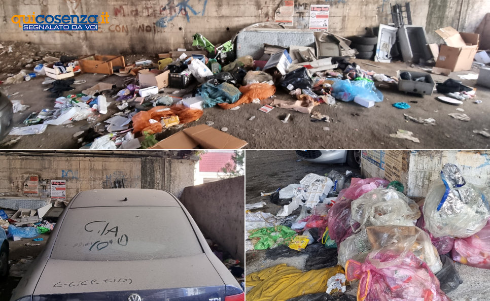 Spazzatura via padre giglio