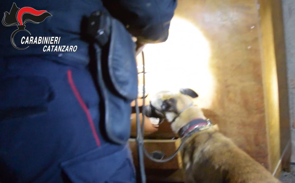 carabinieri catanzaro unita cinofila