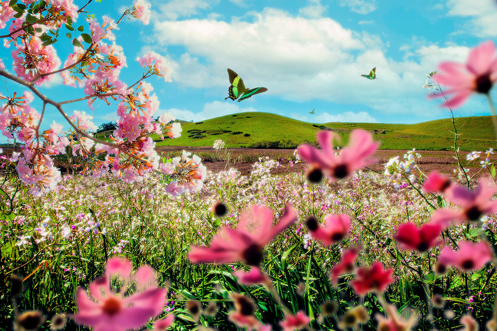 d56a02bd 6401 4fb5 b366 b46c4d606a8d