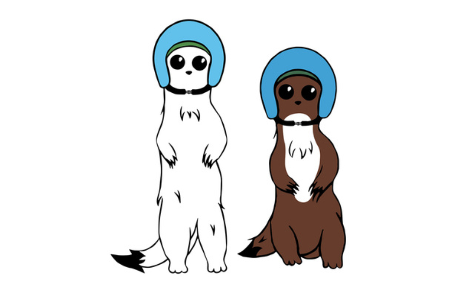 ermellini taverna olimpiadi milano cortina