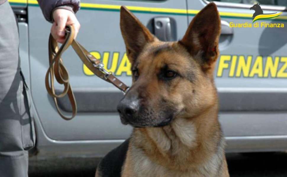 finanza cane unita cinofile