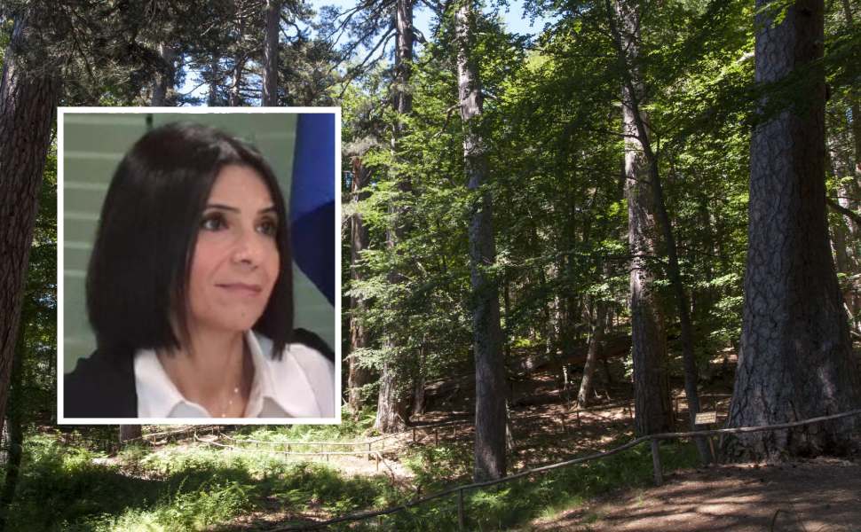 giganti sila giusi princi