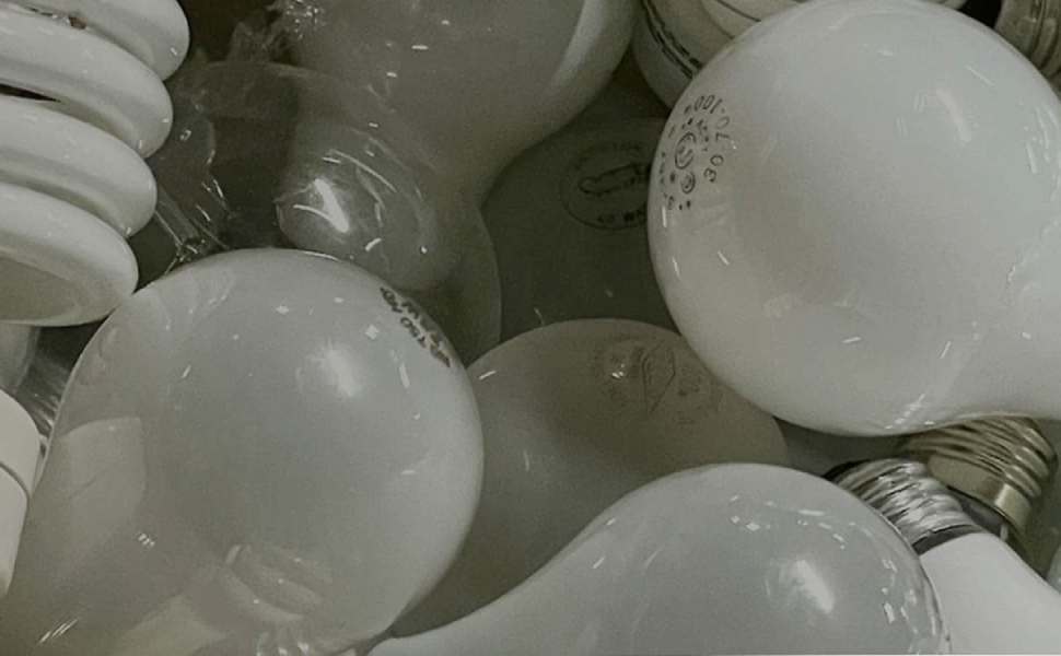 lampadine esauste raccolta