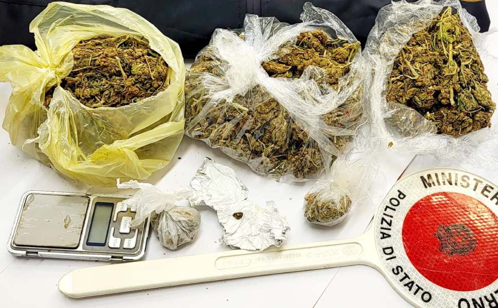 marijuana briatico
