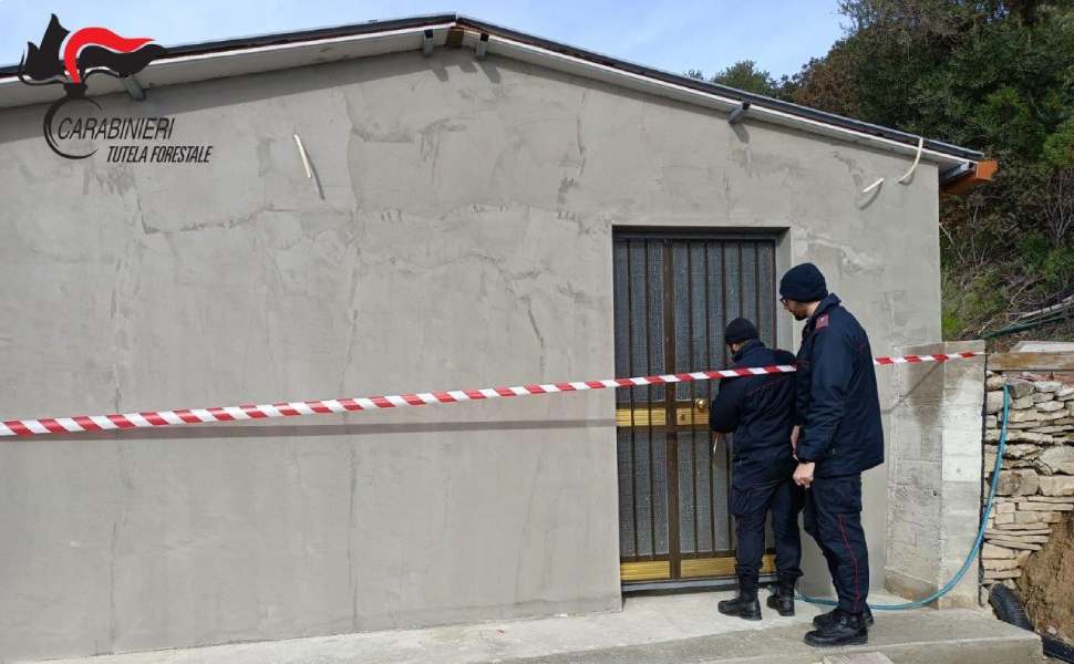 sequestro trebisacce carabinieri forestali