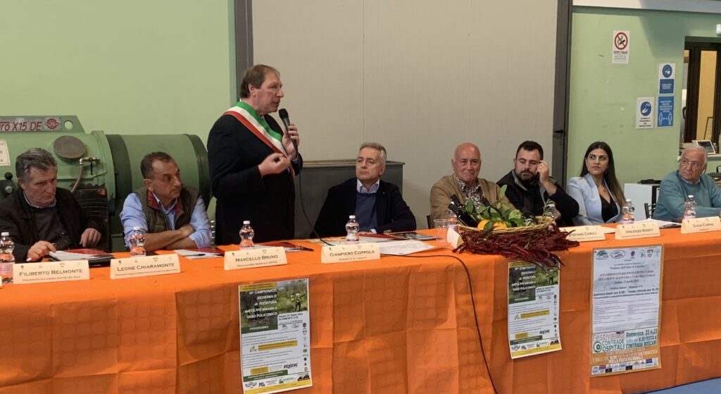 Altomonte olio doliva