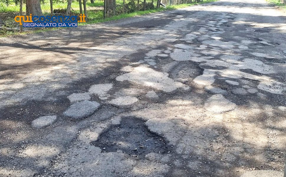 Camigliatello Lago Cecita Strada3