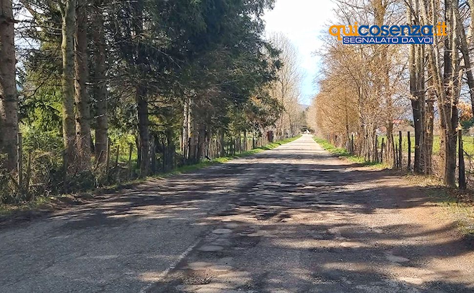 Camigliatello Lago Cecita Strada4