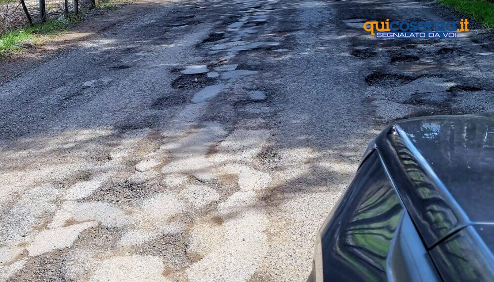 Camigliatello Lago Cecita Strada5 scaled