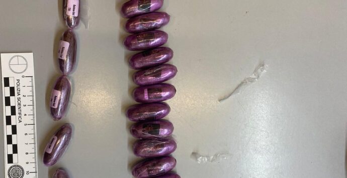 PHOTO 2023 04 14 12 30 07 690x355 1