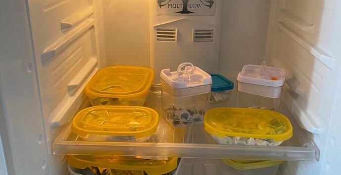 PHOTO 2023 04 14 12 30 15 690x355 1