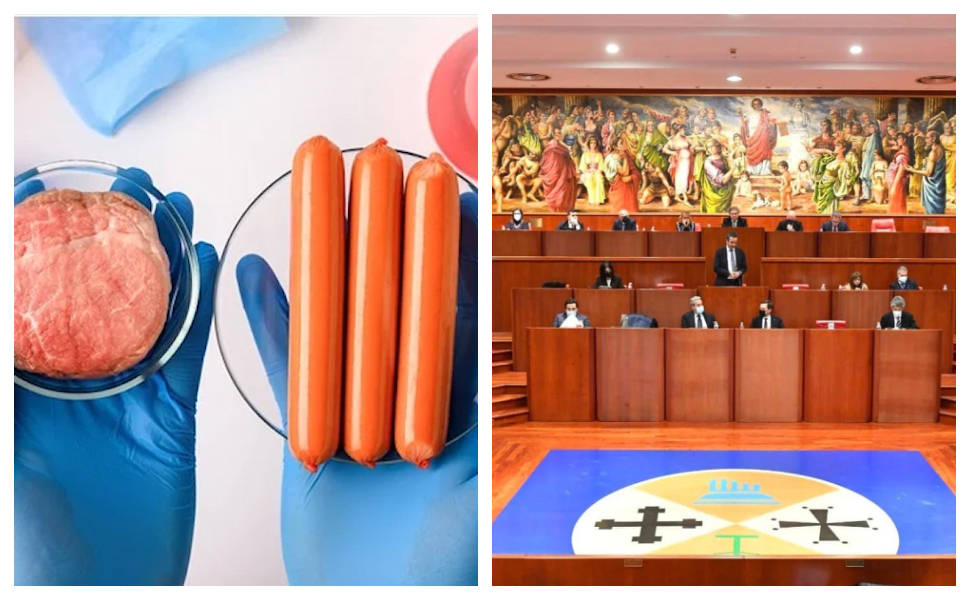 cibo sintetico consiglio regionale