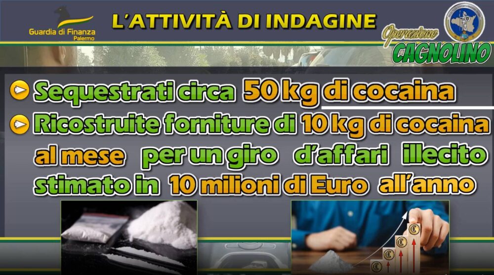 cocaina gdf palermo calabria sicilia cagnolino2 scaled