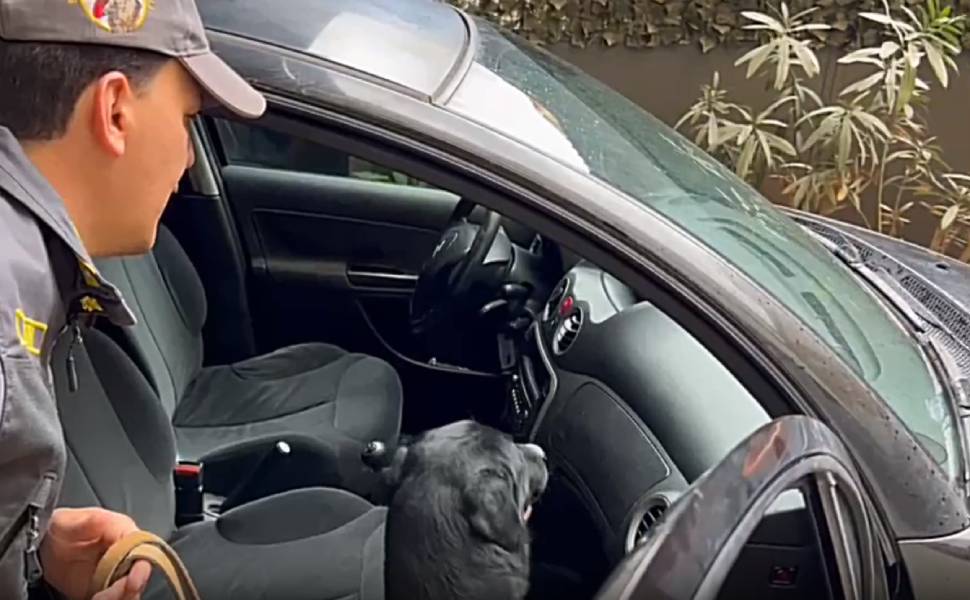 cocaina guardia finanza autostrada controllo 02