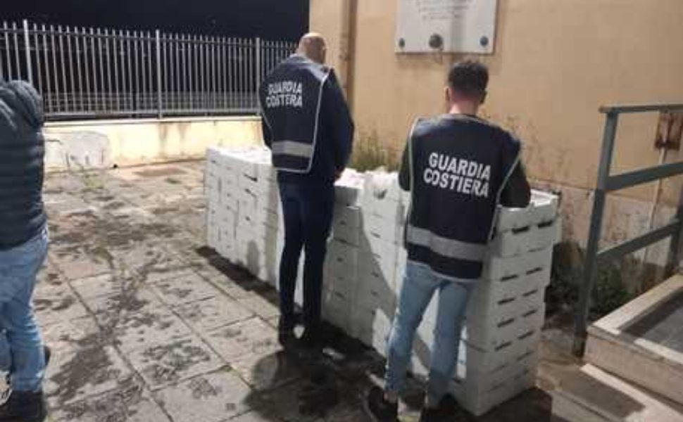 f67723e438cdadbfe8079c98e5ce6fab 1