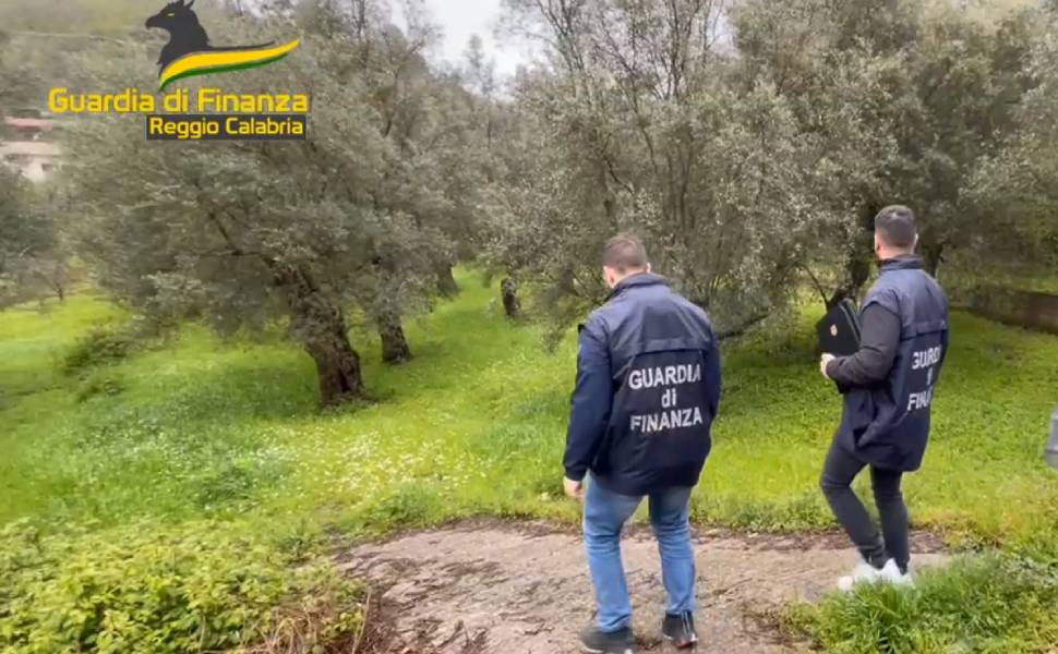 guardia di finanza operazione gioventu rurale