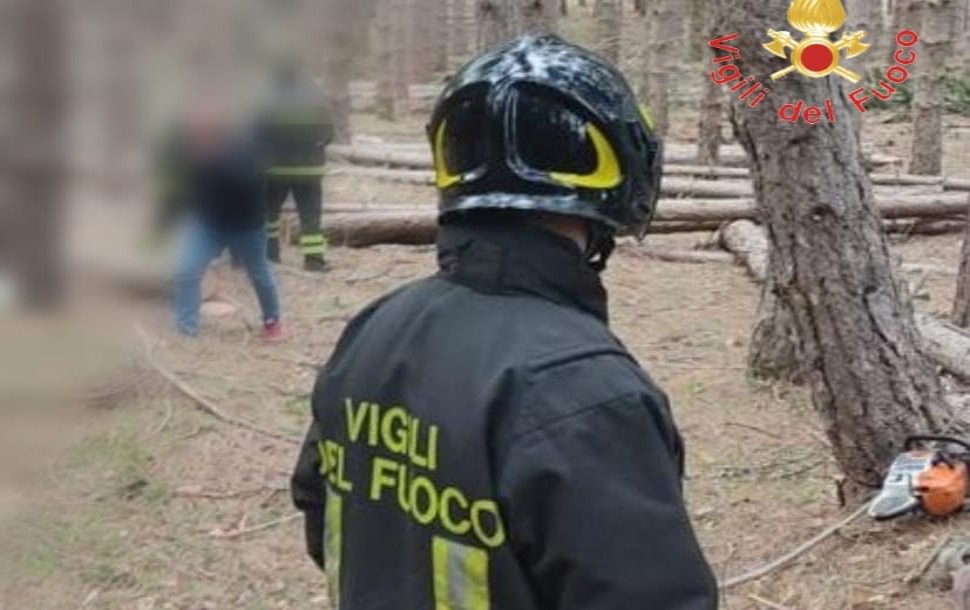 incidente sul lavoro luzzi 1