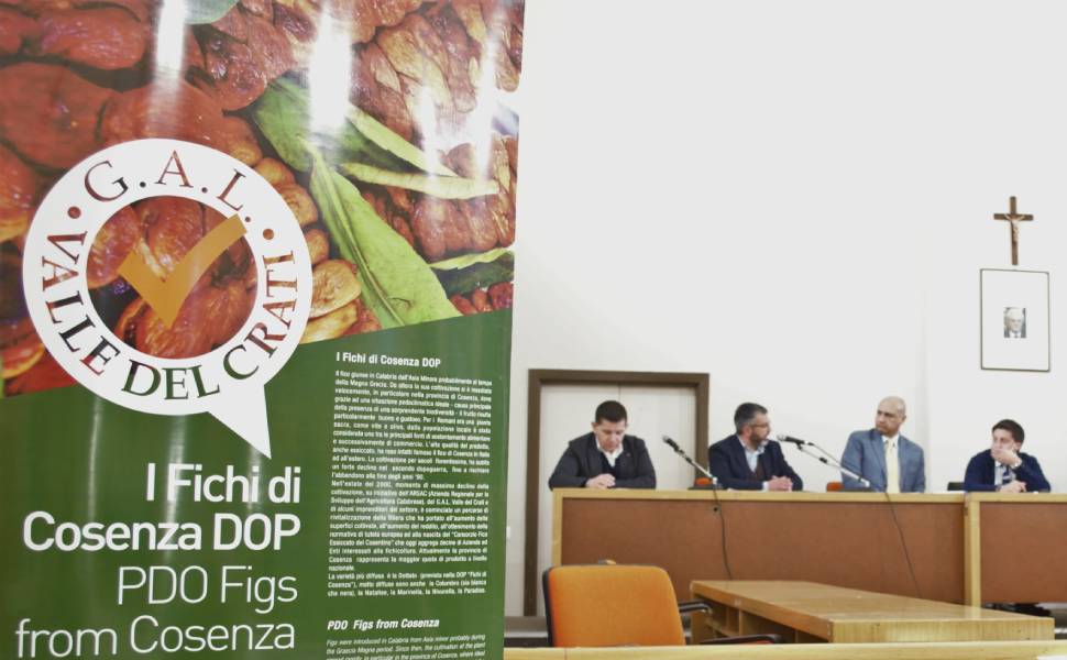 Il futuro della filiera del fico nell’innovazione degli impianti 51 incontro bisignano filiera fico gal