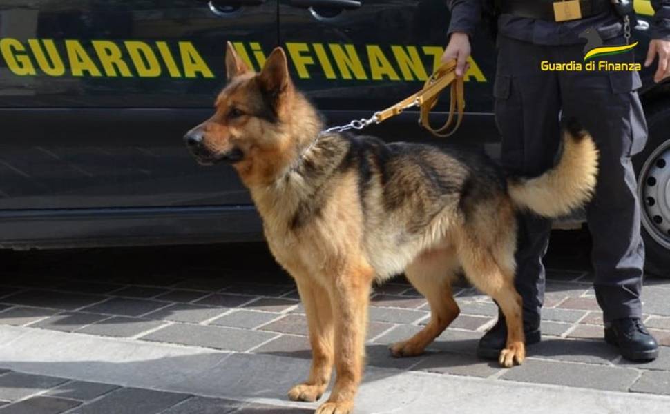 unita cinofila guardia di finanza