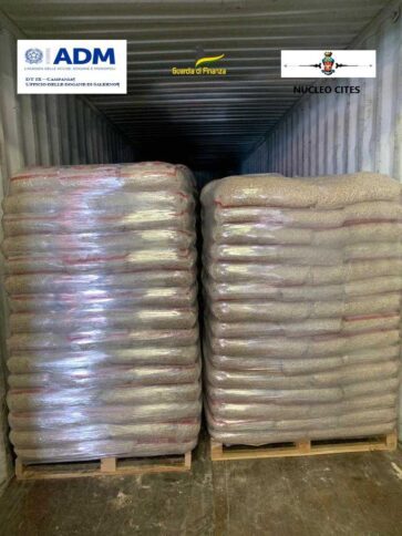 26052023 035310 Foto 1 363x484 1