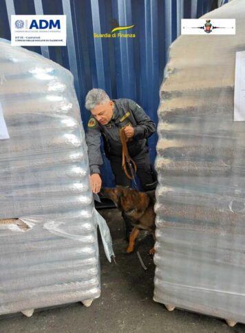 Tonnellate di pellet illegale importato anche per il mercato cosentino: denunciato imprenditore 54 26052023 035335 Foto 3 356x484 1