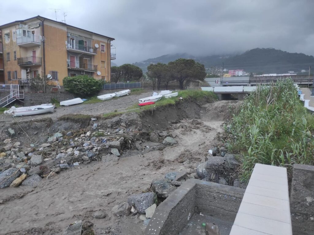 347005763 3432094540388406 172867910955838364 n