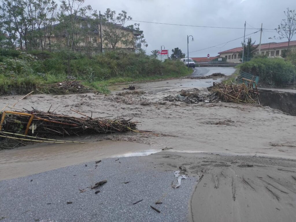 347101286 1258355828408476 8671211998309429941 n