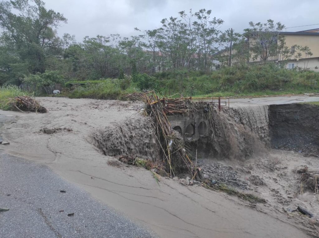 347595045 177455555269539 8768331607027859898 n