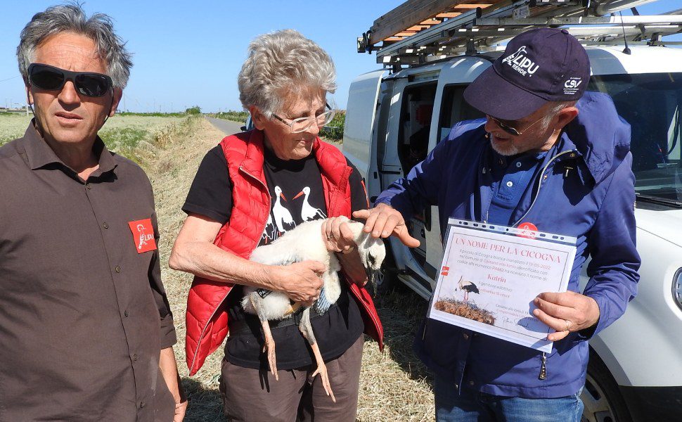 Consegna attestato Lipu Rende