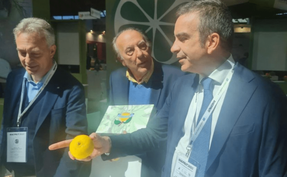 Progetto senza titolo 36