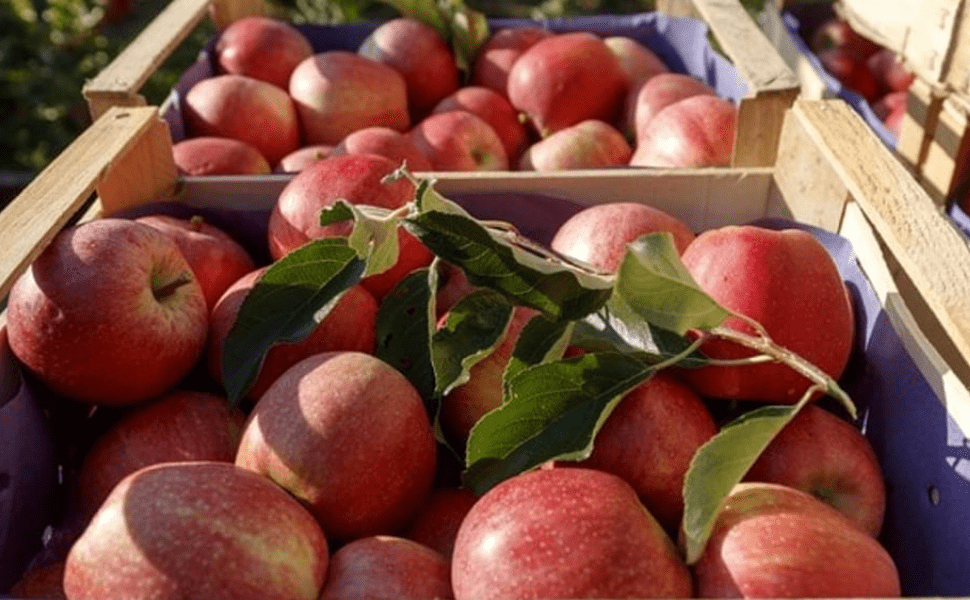 Progetto senza titolo 52