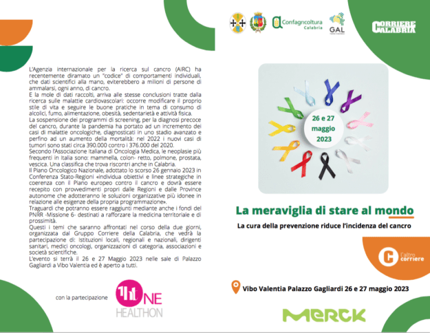 Schermata 2023 05 20 alle 13.24.45 625x484 1