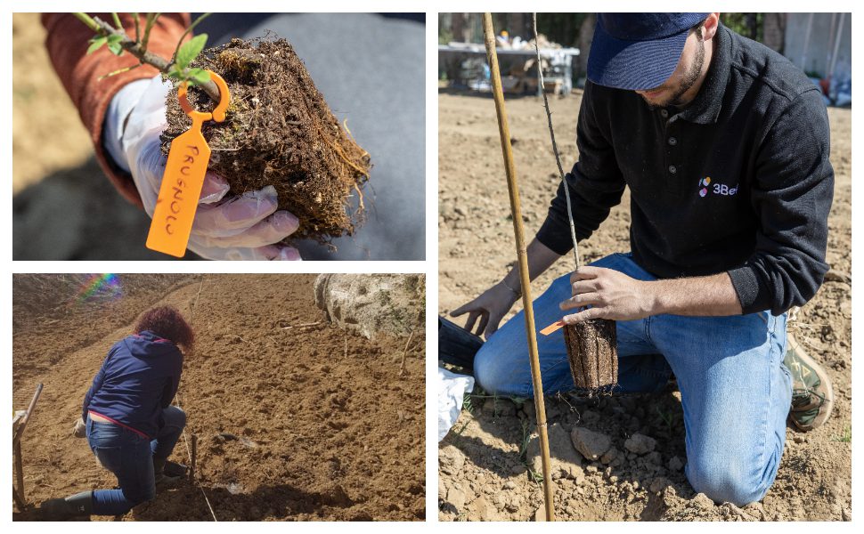 area biofiversita cerzeto