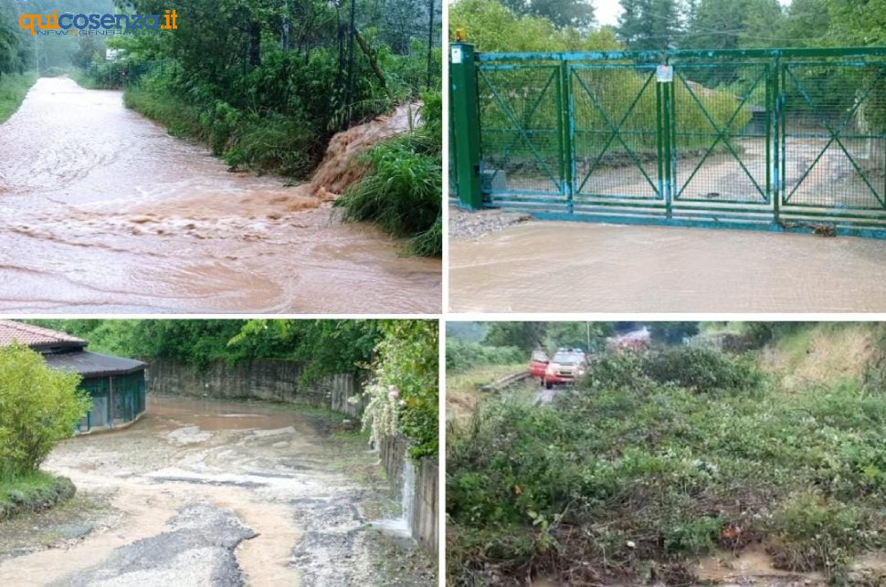Emergenza maltempo a Donnici, numerose le frane: acqua e fango arrivano anche al canile 1 frane donnici