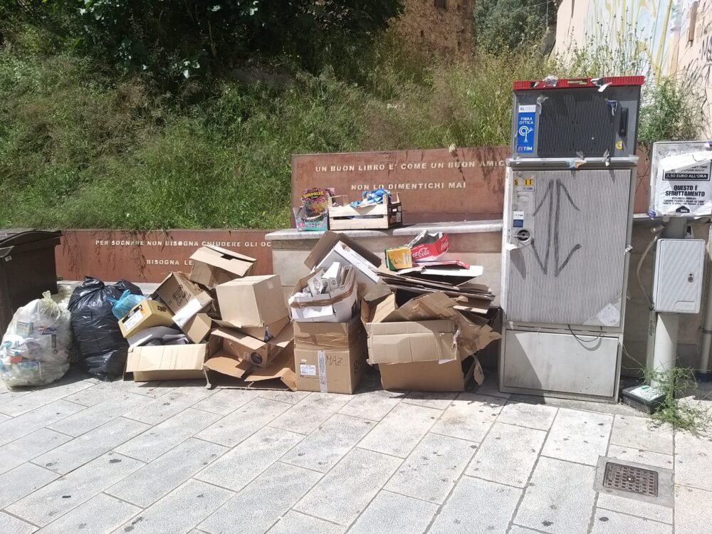 Cosenza, la free library ormai vuota e nell'indecoro tra sterpaglie e immondizia 59 free library Cosenza 2 scaled