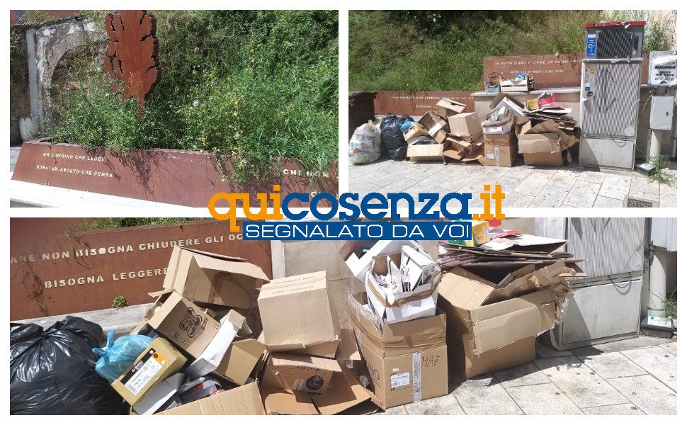 Cosenza, la free library ormai vuota e nell'indecoro tra sterpaglie e immondizia 57 free library cosenza degrado 1