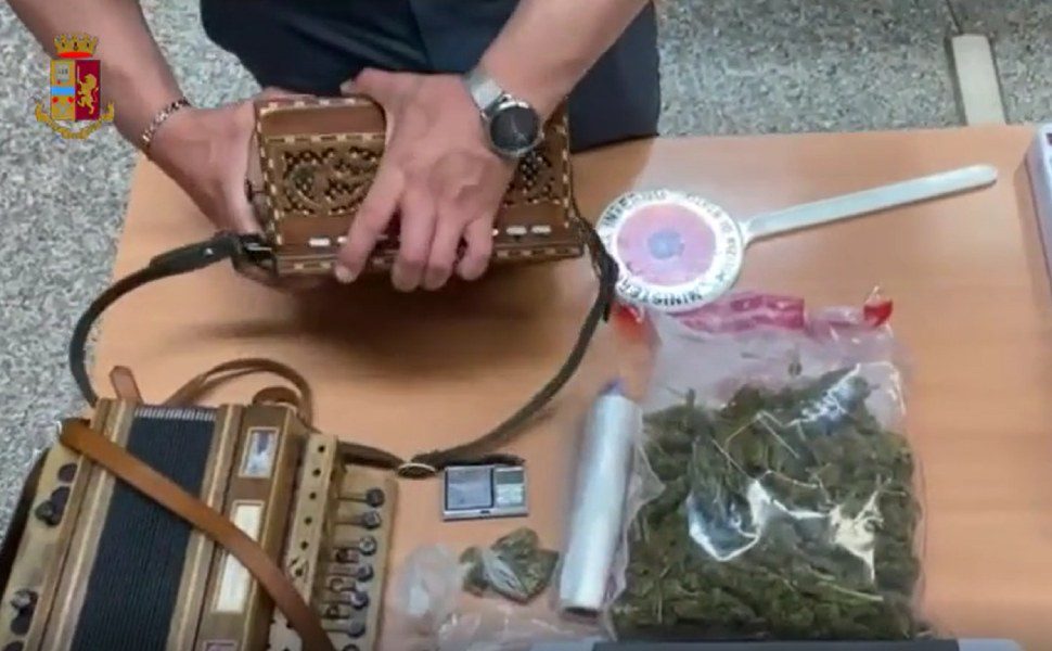 marijuana fisarmonica vibo polizia
