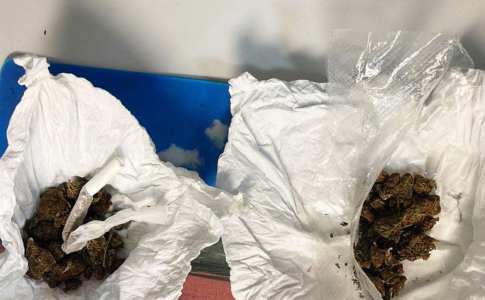 marijuana vibo polizia