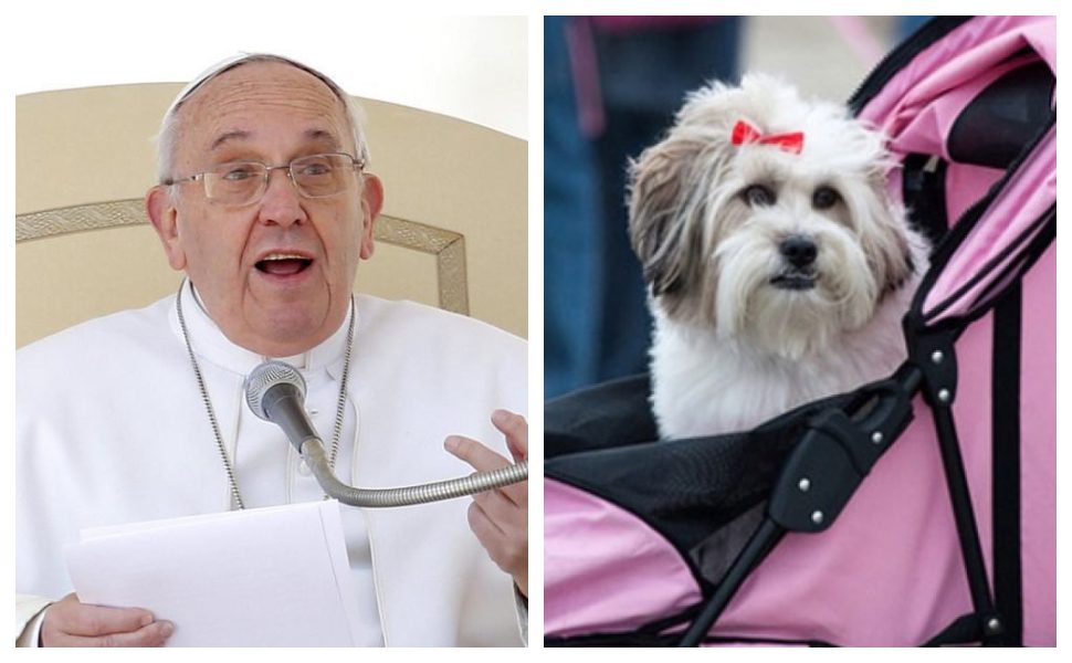 papa Francesco cani