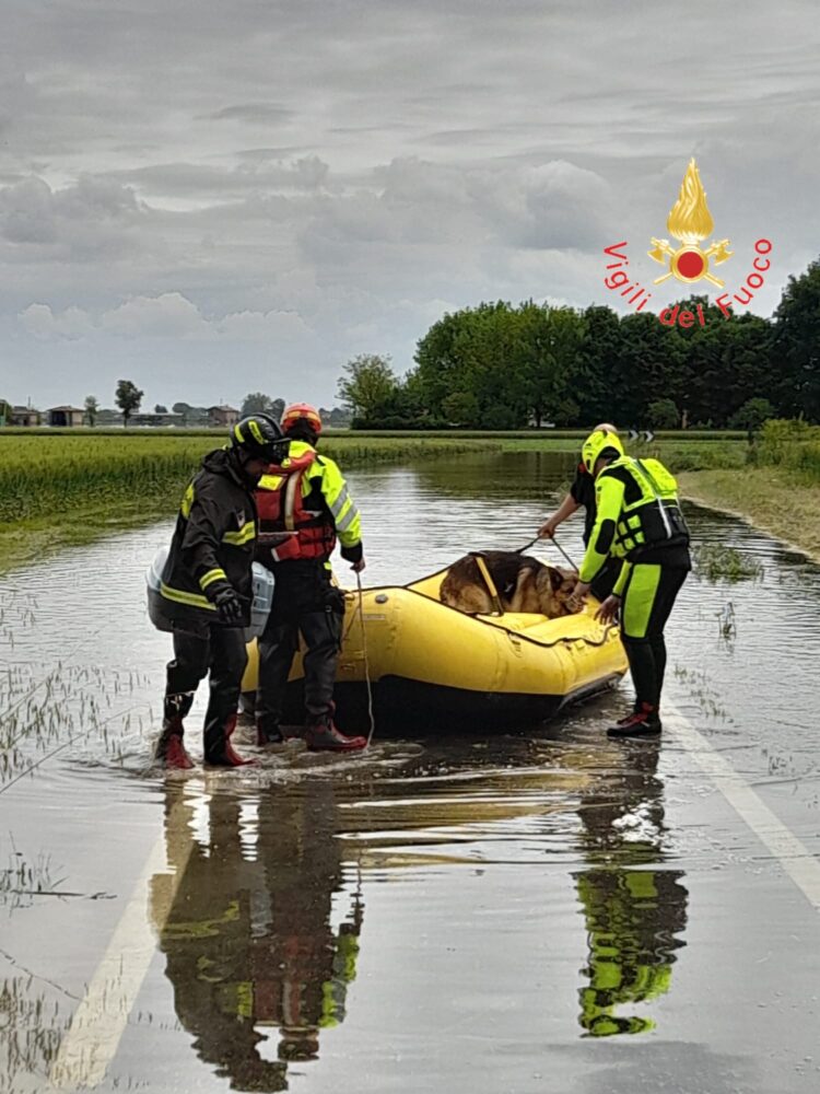 vigili del fuoco 3 scaled