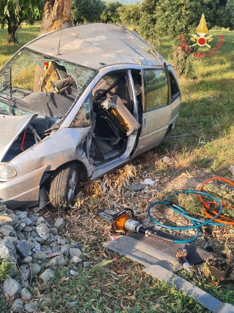 Auto finisce fuori strada e impatta violentemente contro gli alberi: un ferito 54 3098e6ae b1b5 4894 be27 8e3ddf404307 scaled
